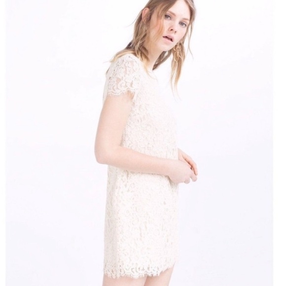 Zara Basic Ivory Lace Dress - Picture 1 of 11